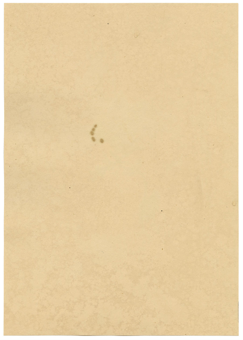 J. McA, Scarce Swallowtail Butterfly Study – c.1810s watercolour painting