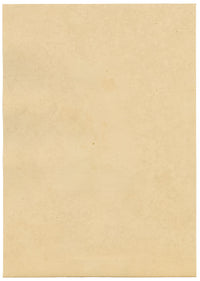 J. McA, Water Scorpion Insect Study – Original c.1810s watercolour painting