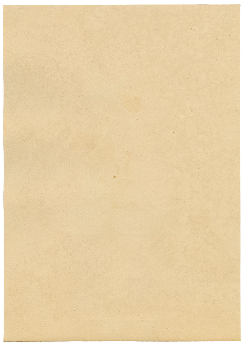 J. McA, Water Scorpion Insect Study – Original c.1810s watercolour painting