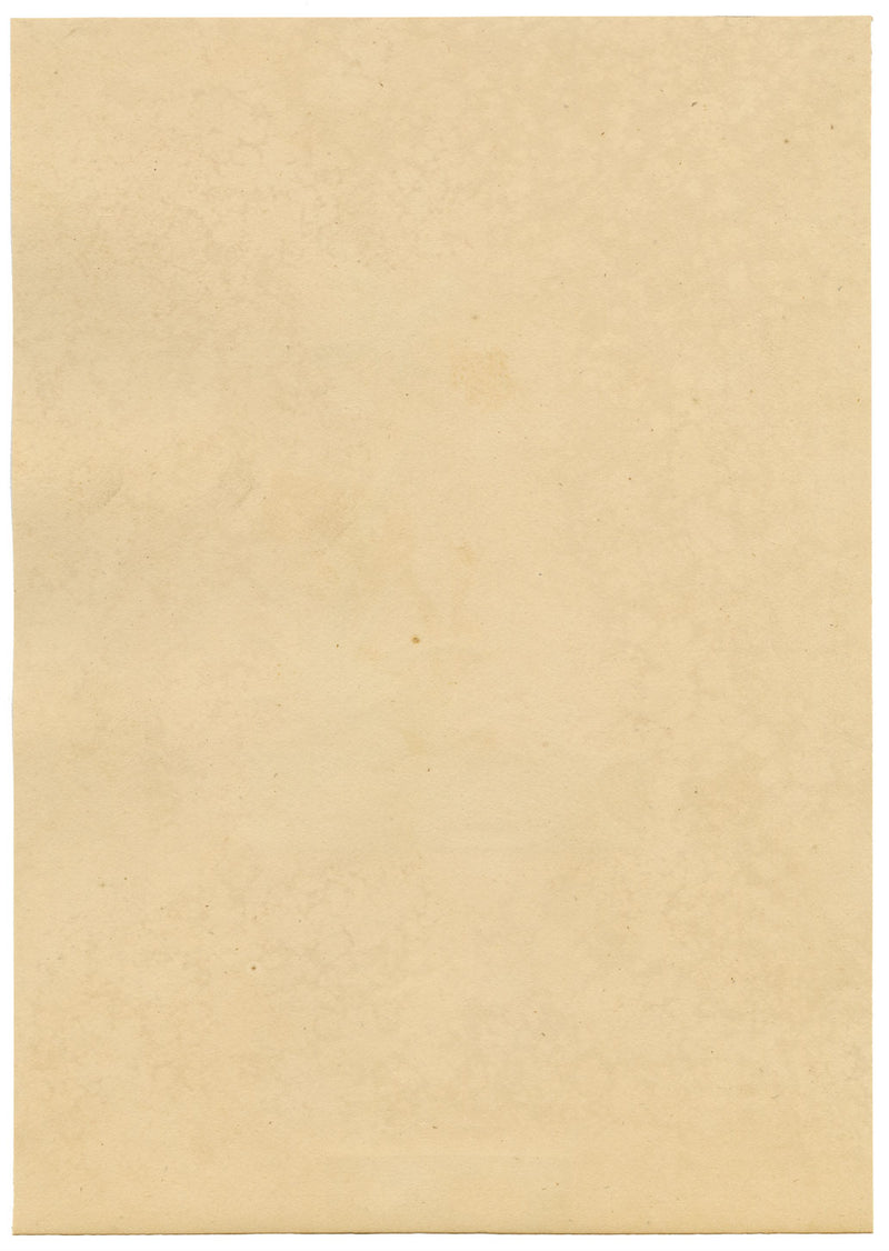 J. McA, Water Scorpion Insect Study – Original c.1810s watercolour painting