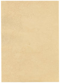 J. McA, Ladycow or Ladybird Insect Study – Original c.1810s watercolour painting