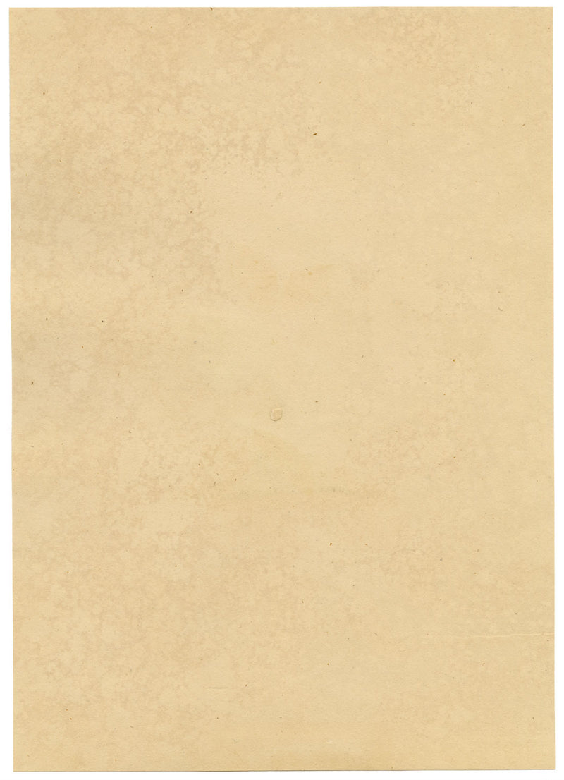 J. McA, Ladycow or Ladybird Insect Study – Original c.1810s watercolour painting