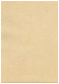 J. McA, Saffron Butterfly (Clouded Yellow) Study – c.1810s watercolour painting