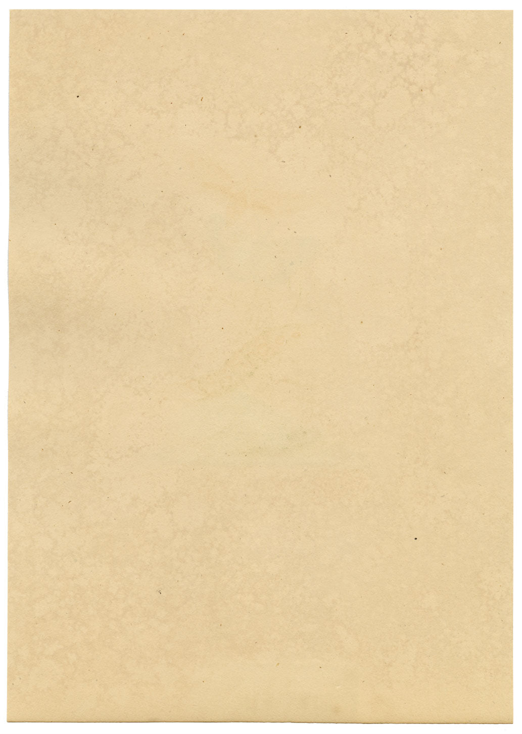 J. McA, Saffron Butterfly (Clouded Yellow) Study – c.1810s watercolour painting