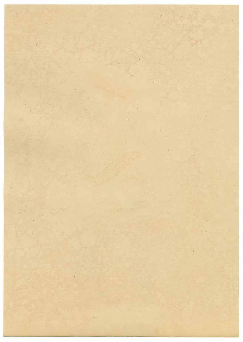 J. McA, Saffron Butterfly (Clouded Yellow) Study – c.1810s watercolour painting