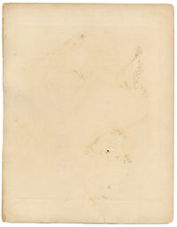 Lilian Medland, Corn Bunting Bird – Original early 20th-century photogravure