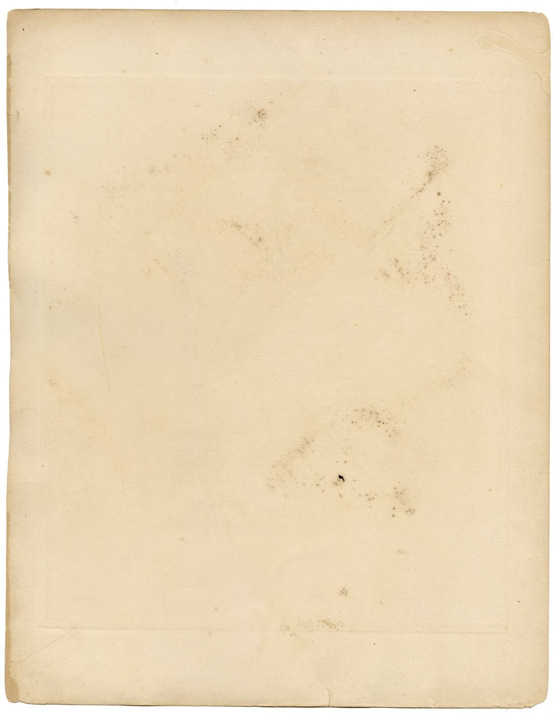 Lilian Medland, Corn Bunting Bird – Original early 20th-century photogravure