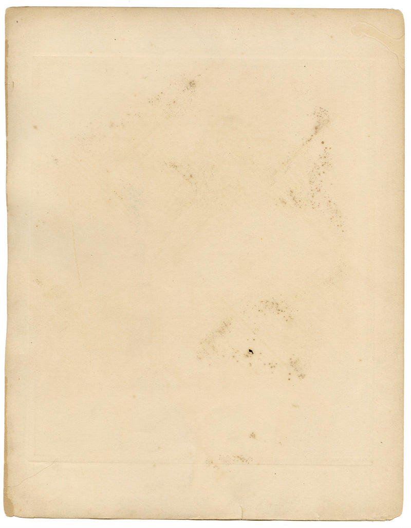 Lilian Medland, Corn Bunting Bird – Original early 20th-century photogravure