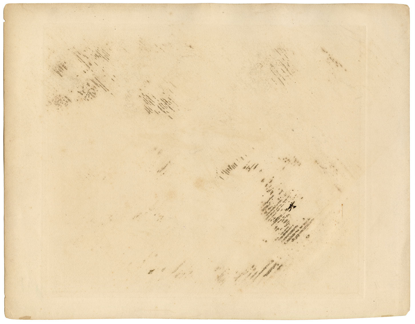 Lilian Medland, Snow Bunting Bird – Original early 20th-century photogravure