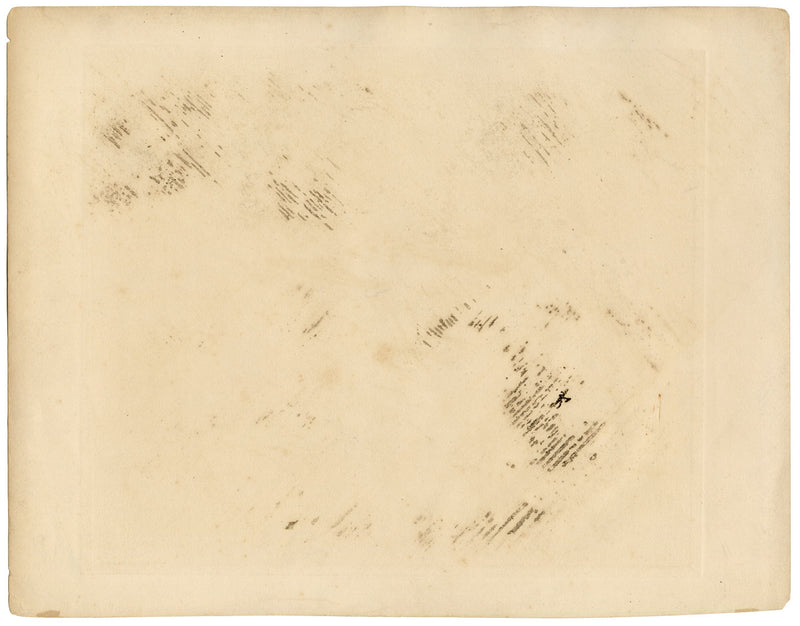 Lilian Medland, Snow Bunting Bird – Original early 20th-century photogravure