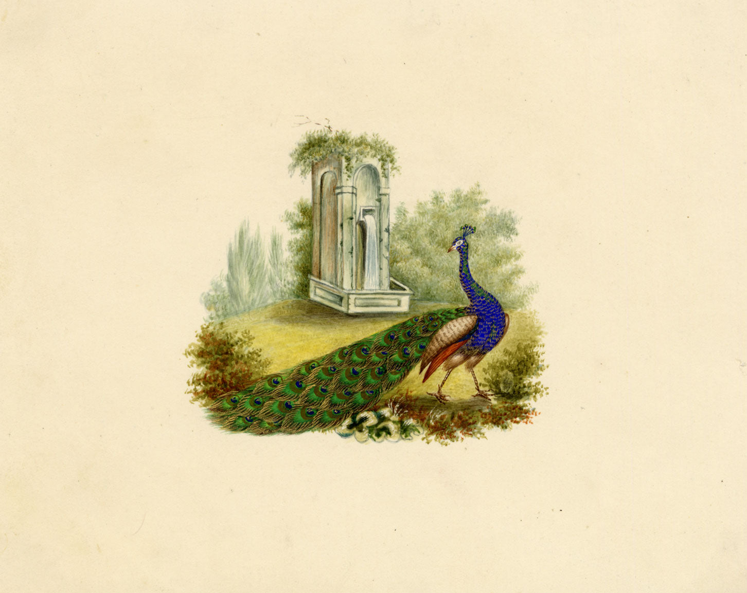 Peacock Bird Picturesque Capriccio – Original c.1831 watercolour painting