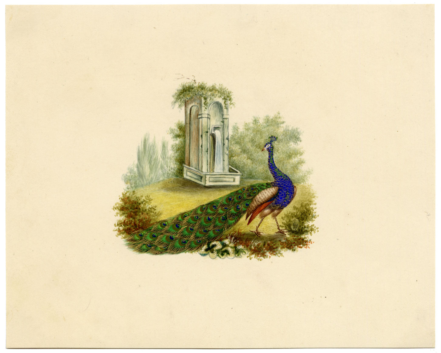 Peacock Bird Picturesque Capriccio – Original c.1831 watercolour painting