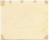 Peacock Bird Picturesque Capriccio – Original c.1831 watercolour painting