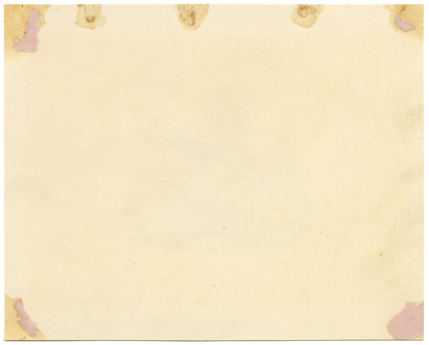 Peacock Bird Picturesque Capriccio – Original c.1831 watercolour painting