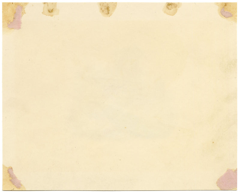 Peacock Bird Picturesque Capriccio – Original c.1831 watercolour painting