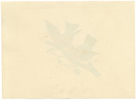 Pair of Sunbirds on a Branch – Original c.1831 watercolour painting