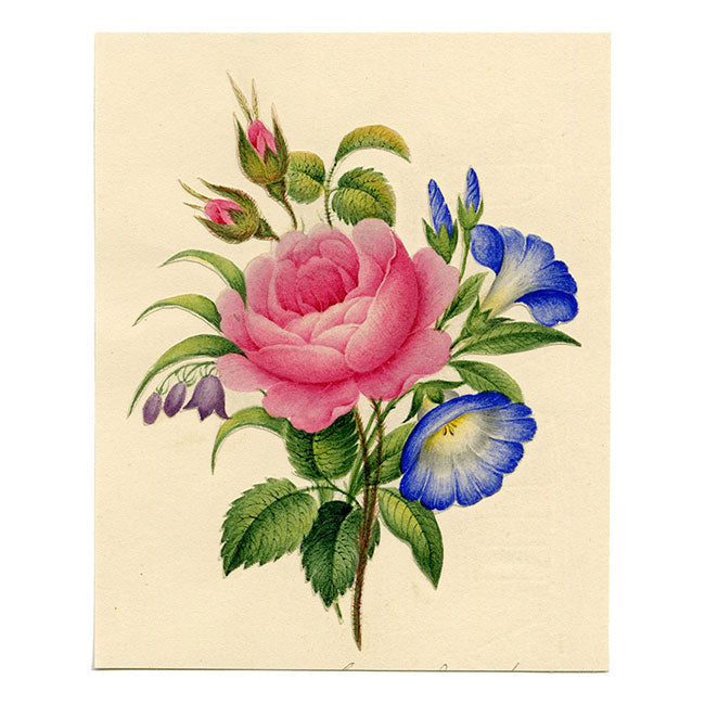Pink Rose Posy Painted Papercut – Original c.1831 watercolour painting