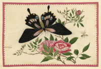 Antique 19th-century Chinese Pith Painting – Butterfly, Rose Flower & Fly