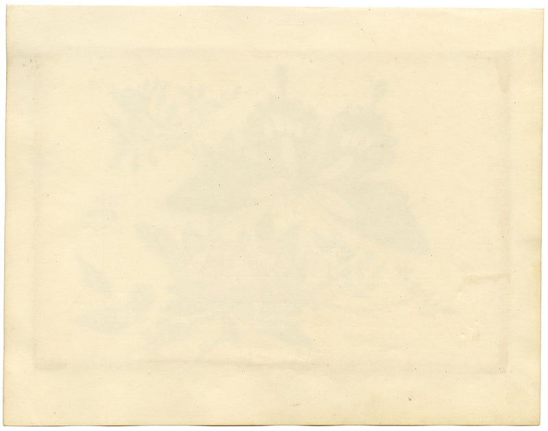 Antique 19th-century Chinese Pith Painting – Butterfly, Rose Flower & Fly