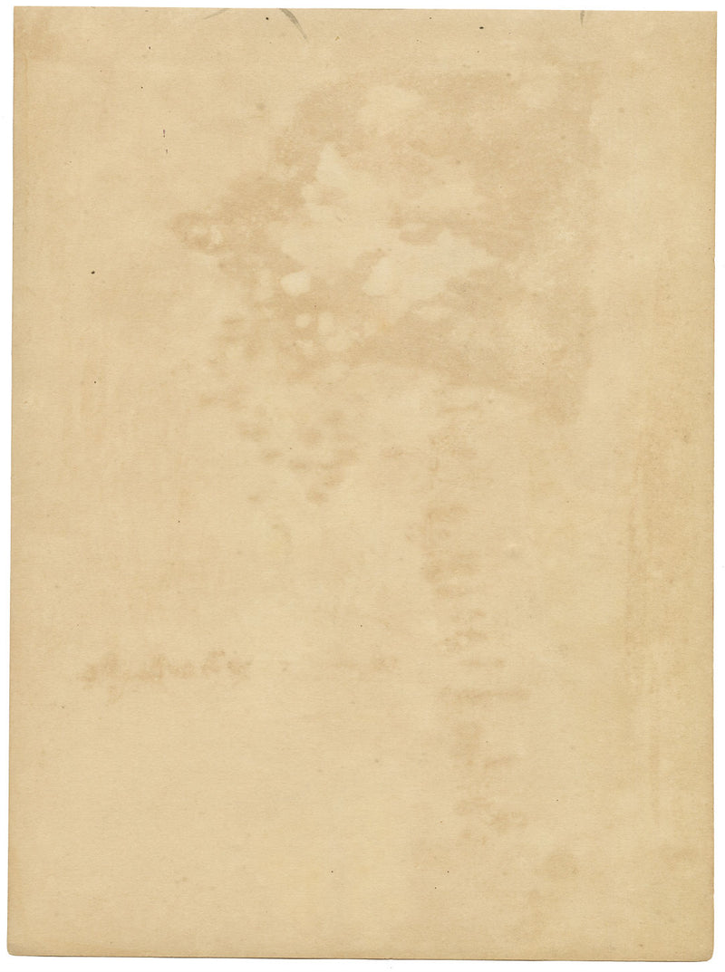 W. Pendavis, Venus de Milo in the Louvre, Paris – 1894 watercolour painting