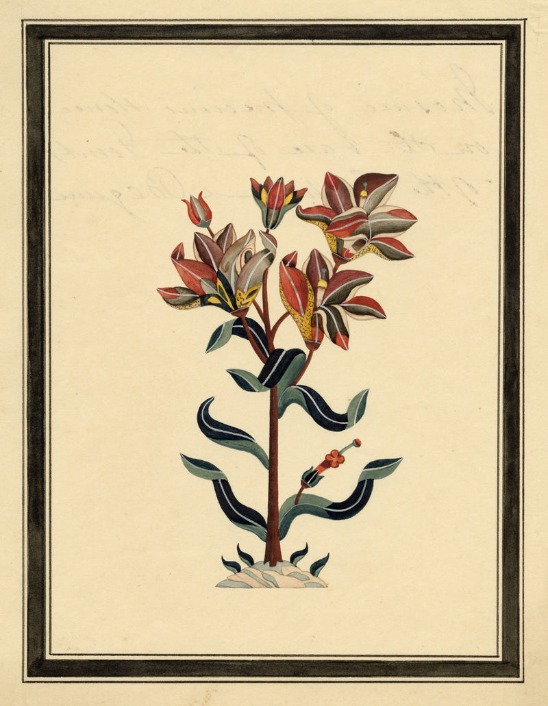 Indian Company School, Pietra Dura Precious Stone Ornament, Cenotaph of Shah Jahan, Taj Mahal, Agra – 19th-century watercolour painting