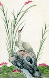 Antique 19th-century Chinese Pith Painting – Red-crowned Crane Bird