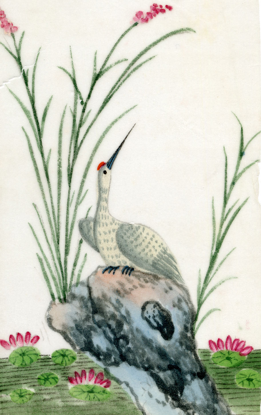 Antique 19th-century Chinese Pith Painting – Red-crowned Crane Bird