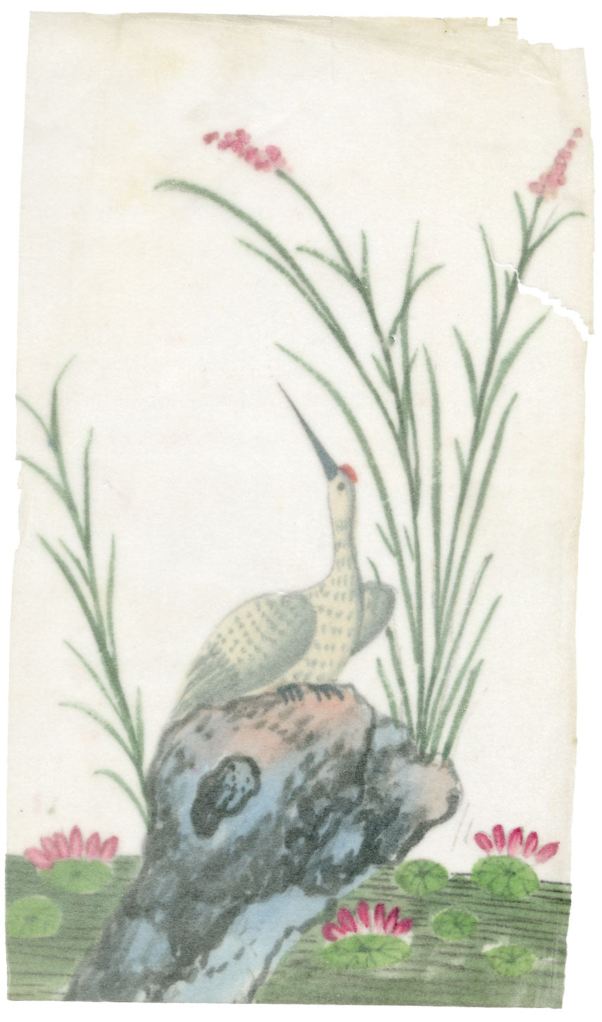 Antique 19th-century Chinese Pith Painting – Red-crowned Crane Bird