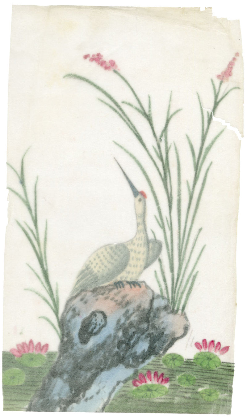 Antique 19th-century Chinese Pith Painting – Red-crowned Crane Bird