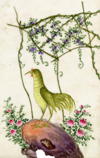Antique 19th-century Chinese Pith Painting – Golden Rooster