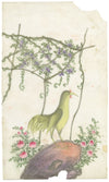 Antique 19th-century Chinese Pith Painting – Golden Rooster