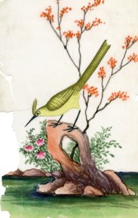 Antique 19th-century Chinese Pith Painting – Yellow Crested Bird