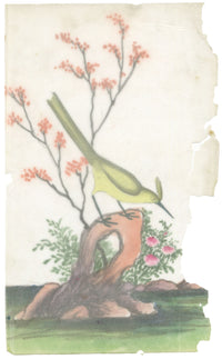Antique 19th-century Chinese Pith Painting – Yellow Crested Bird