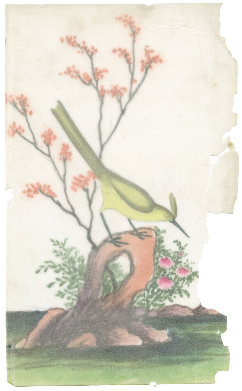 Antique 19th-century Chinese Pith Painting – Yellow Crested Bird
