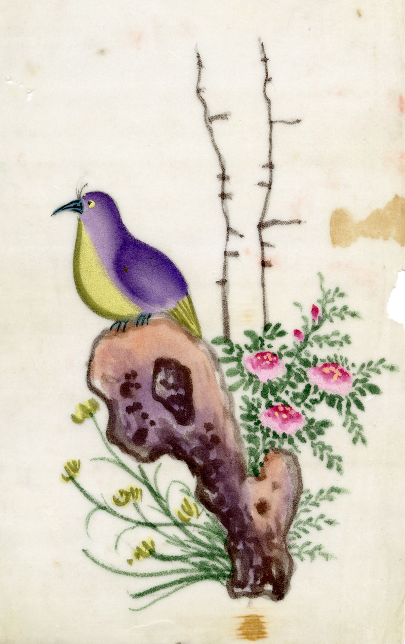 Antique 19th-century Chinese Pith Painting – Pigeon Bird