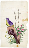 Antique 19th-century Chinese Pith Painting – Pigeon Bird