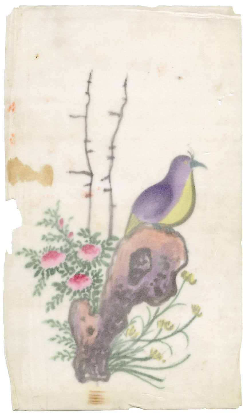 Antique 19th-century Chinese Pith Painting – Pigeon Bird