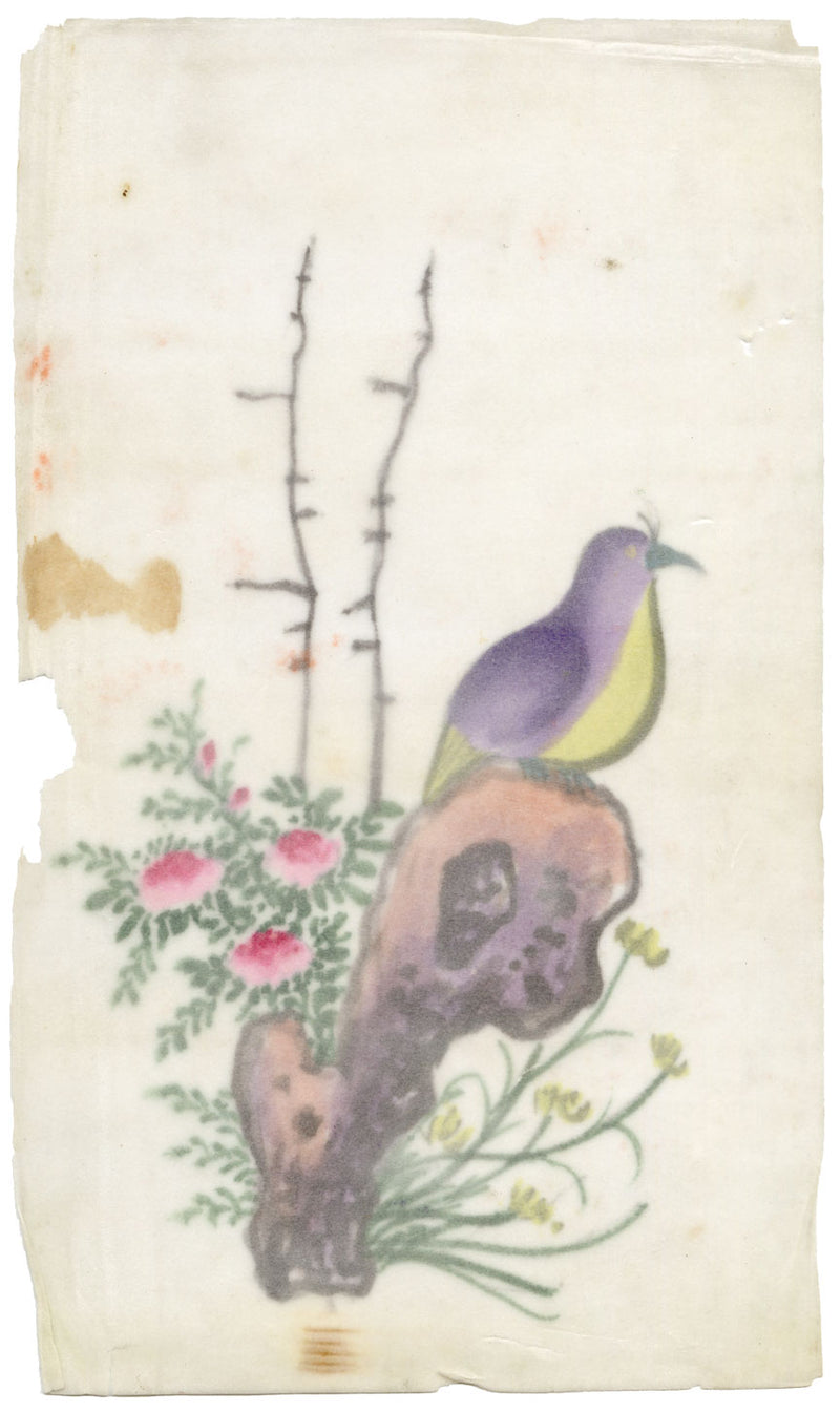 Antique 19th-century Chinese Pith Painting – Pigeon Bird