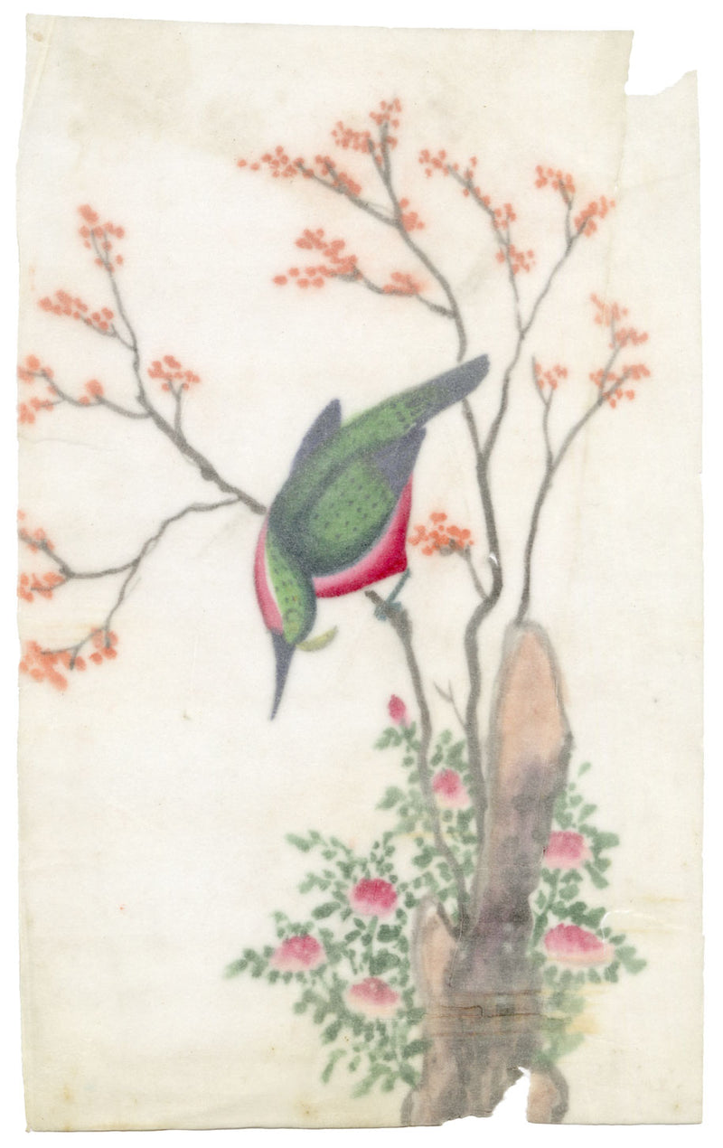 Antique 19th-century Chinese Pith Painting – Green Magpie Bird