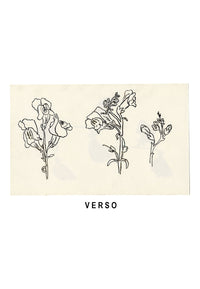 Pickford Robert Waller, Arts & Crafts Sweet Pea Study – c.1890s watercolour