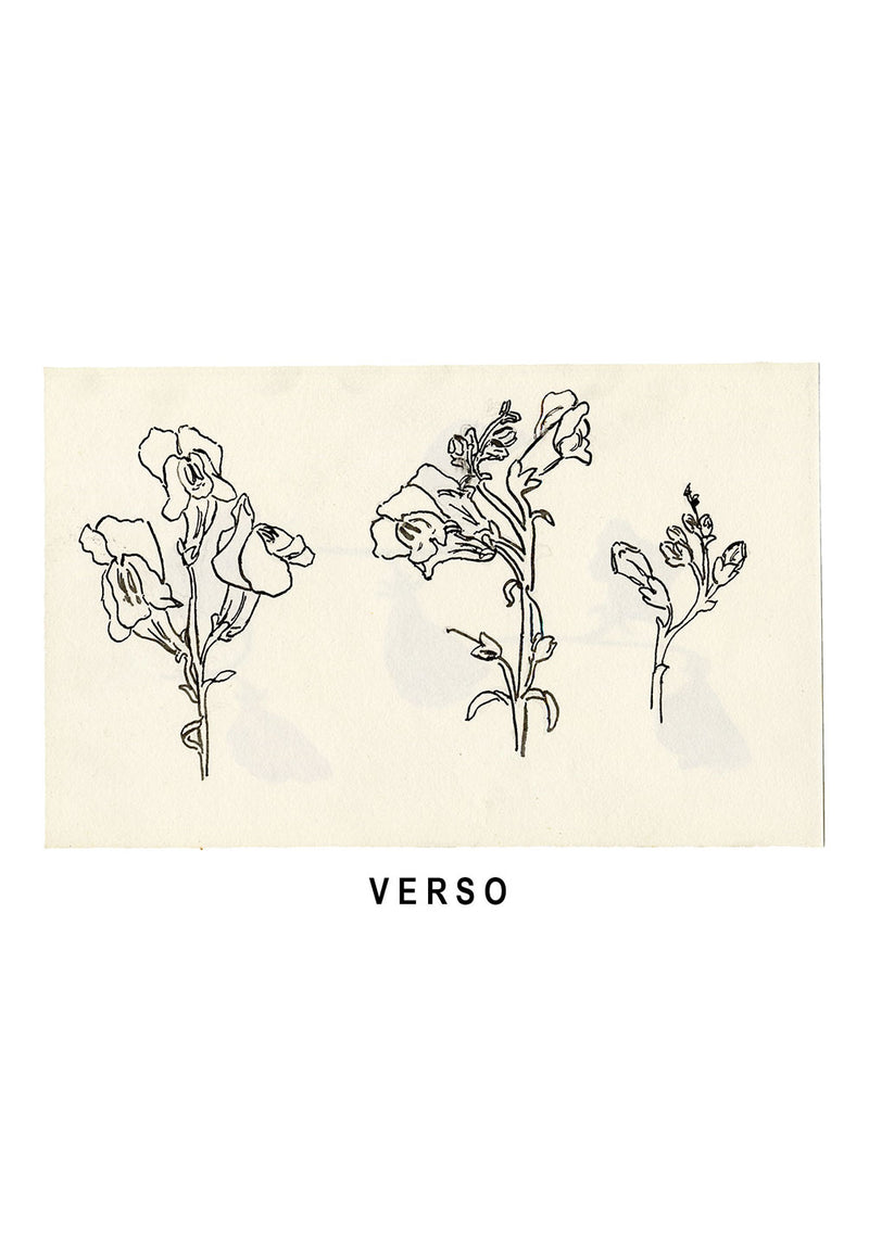 Pickford Robert Waller, Arts & Crafts Sweet Pea Study – c.1890s watercolour