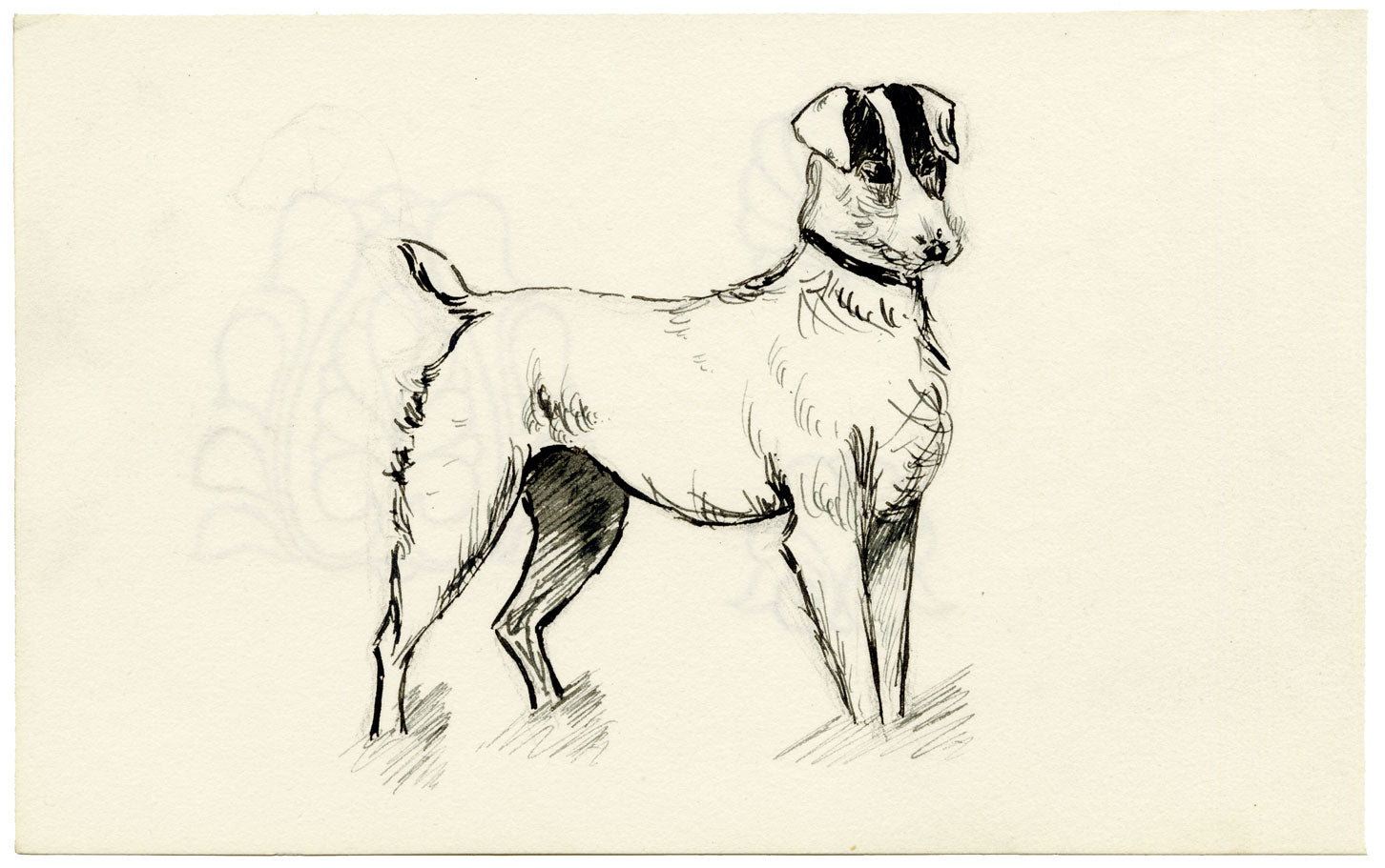 Pickford Robert Waller, Jack Russell Terrier Dog – c.1890s pen & ink drawing