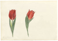 Pickford Robert Waller, Rooftop Skyline Silhouette –c.1890s watercolour painting