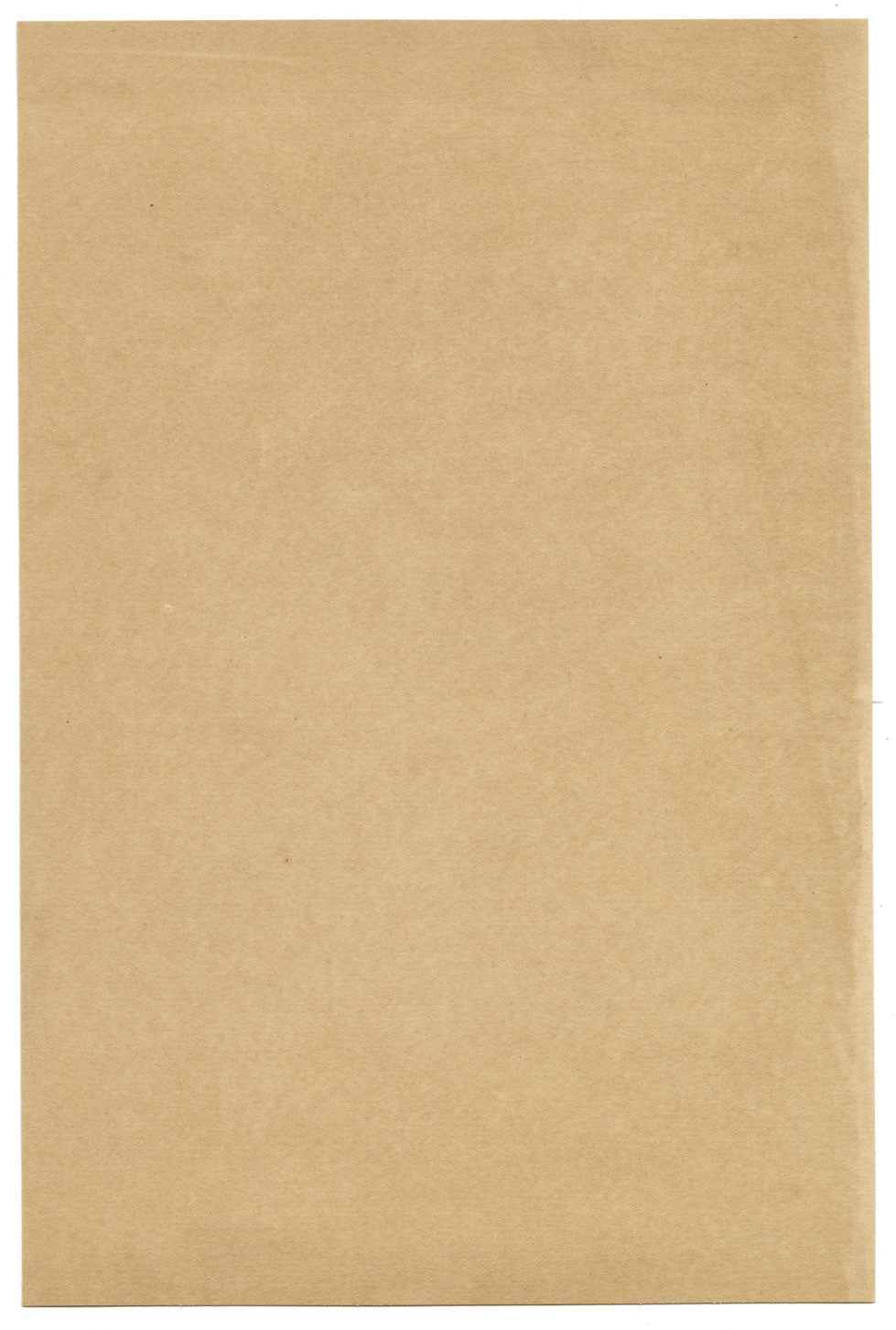 G. DeLalande, Portrait of a Young Lady in Feathered Hat – 1890s charcoal drawing