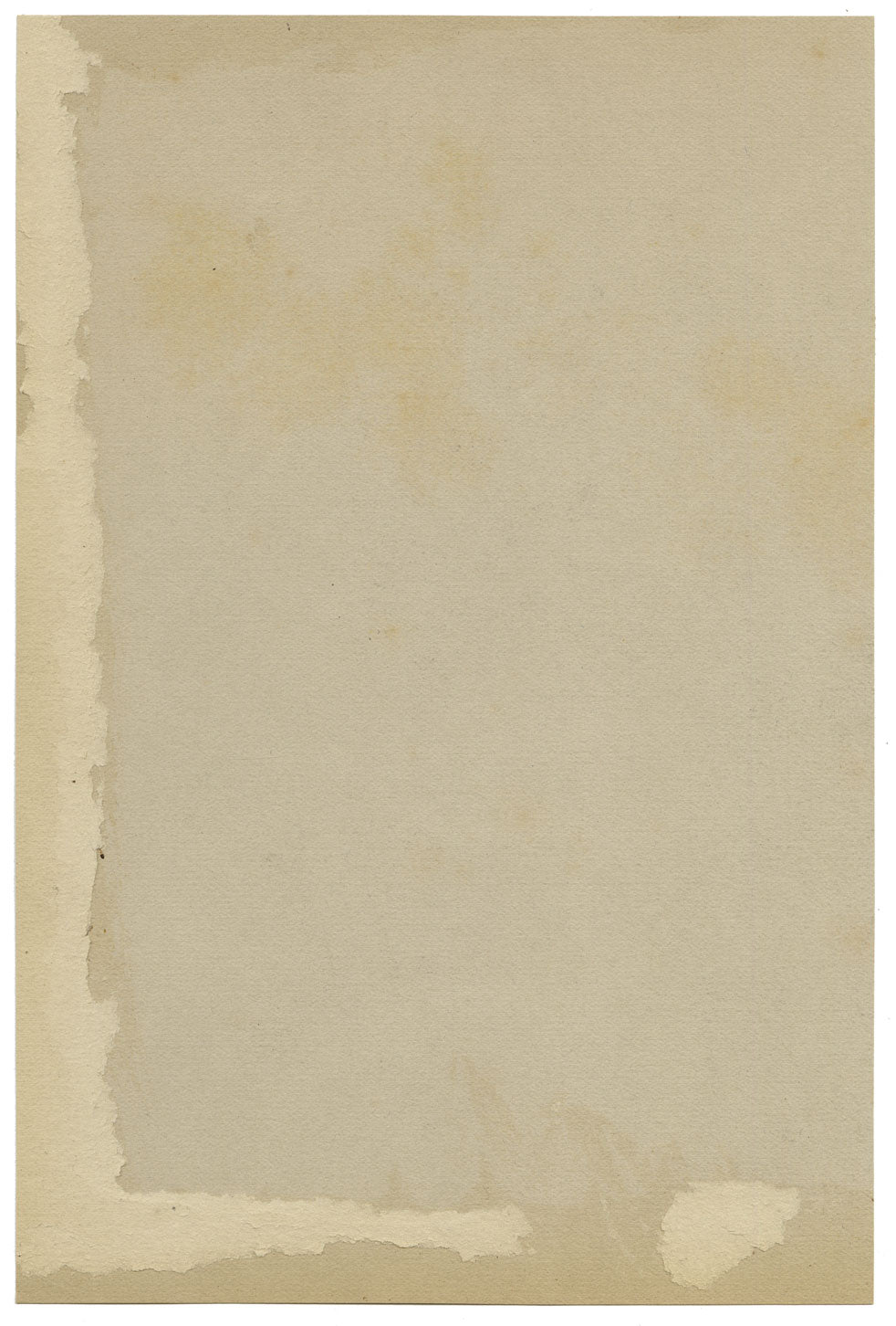 G. DeLalande, Portrait of a Girl in Hair Net – Original 1890s charcoal drawing