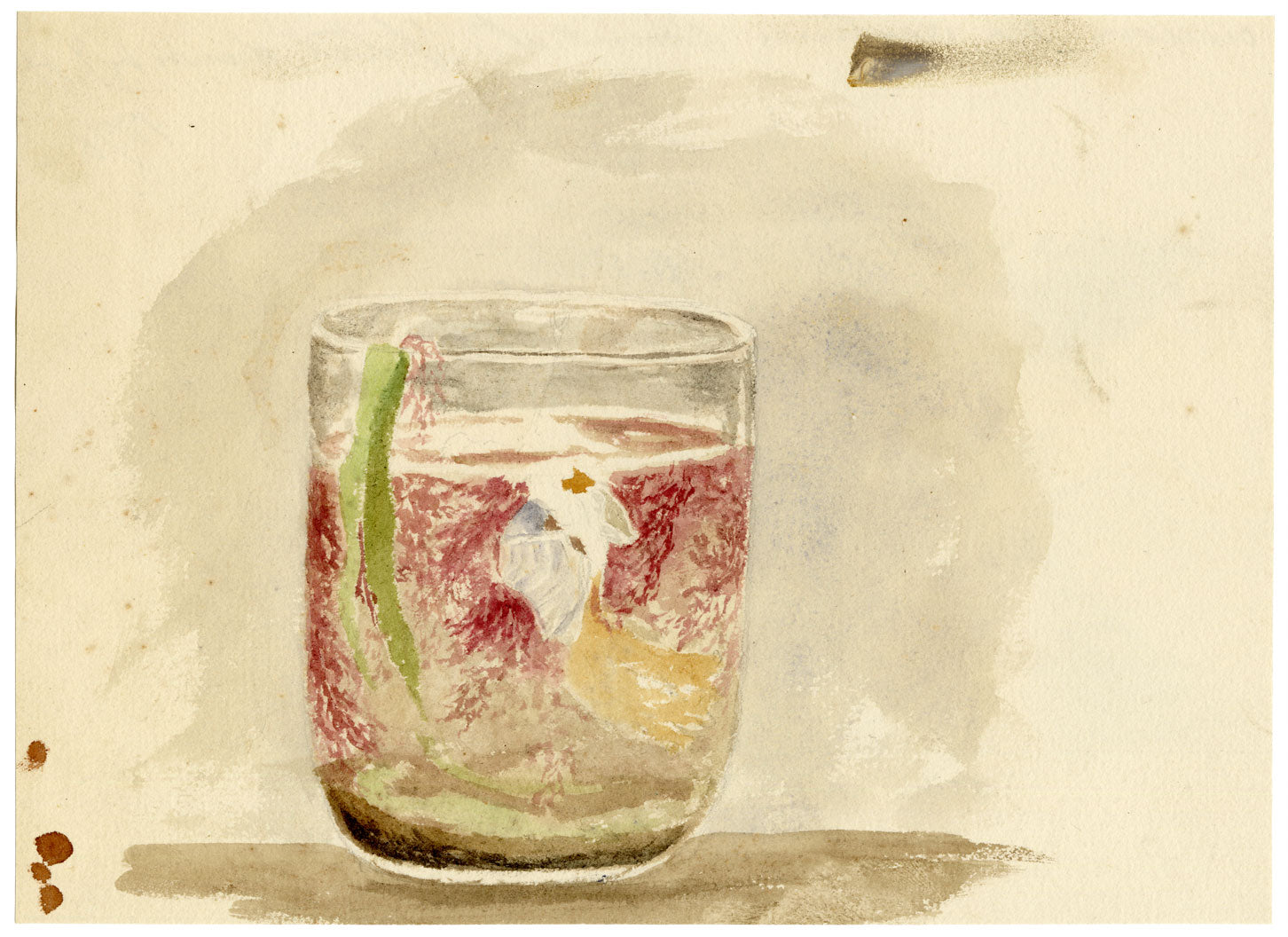 Isabella Hunter, Curious Sea Creatures Found at Spitall, Scottish Borders – 1876 watercolour painting