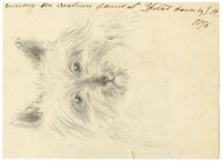 Isabella Hunter, Curious Sea Creatures Found at Spitall, Scottish Borders – 1876 watercolour painting