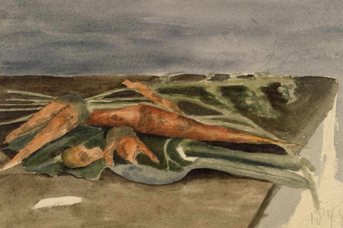 Hunter, Freshly Dug Carrots, Still Life Study – 1877 watercolour painting