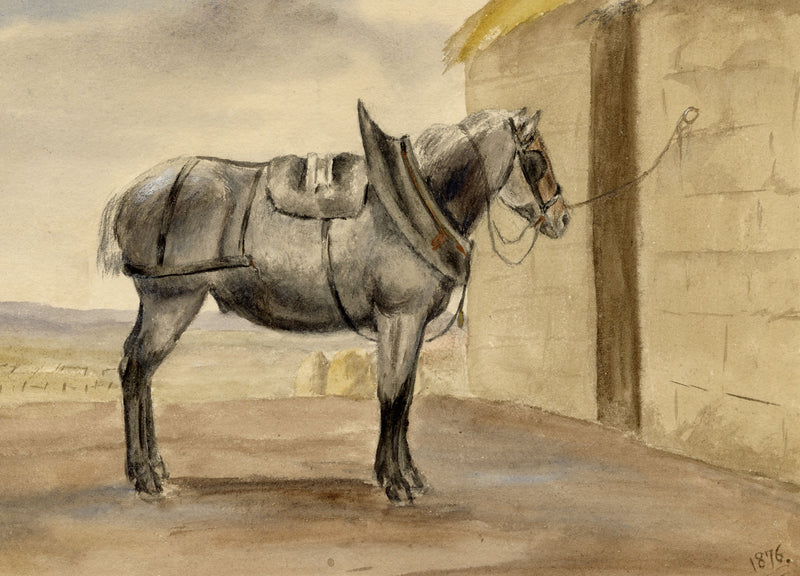 Hunter, Fisher's Cart Horse near Anton's Hill, Scottish Borders – 1876 watercolour painting
