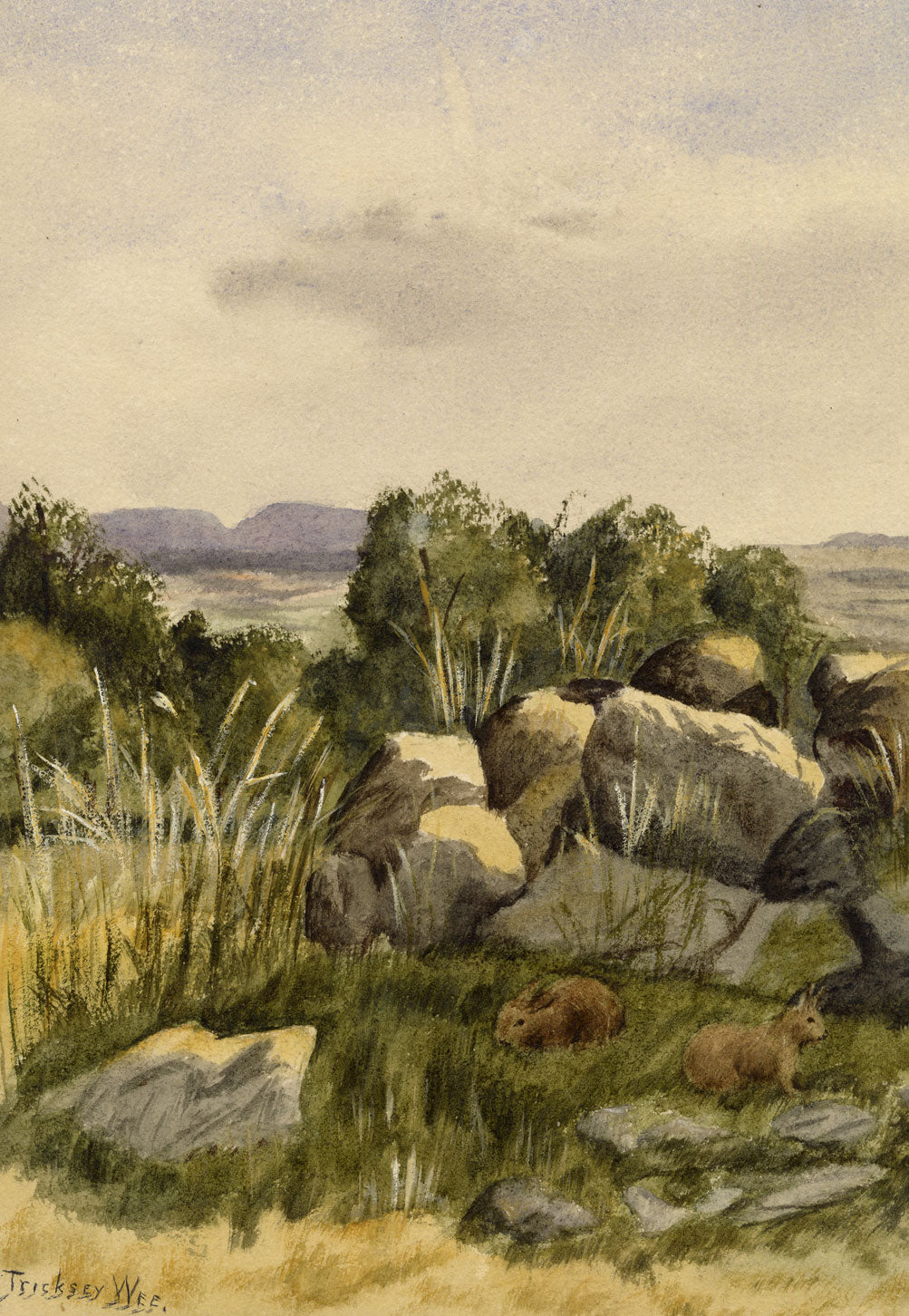 Isabella Hunter, Rabbits in Undergrowth, Scottish Borders – 1876 watercolour painting